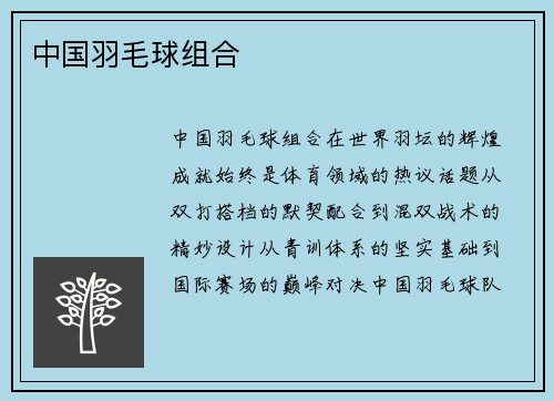中国羽毛球组合