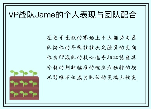 VP战队Jame的个人表现与团队配合