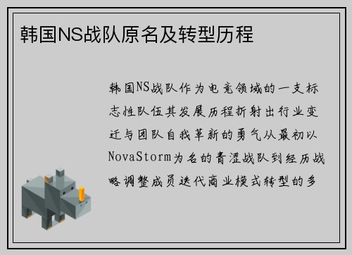 韩国NS战队原名及转型历程